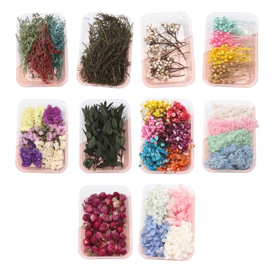 Trockenblumen-Set, echte natürliche Blumen, getrocknete Blumen in großen Mengen, DIY-Ewige Blumen, Material für handgefertigten Schmuck, Nägel, Basteln