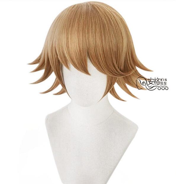 40CM Kurze Perücke Anime Danganronpa Chihiro Fujisaki Cosplay Kostüm Dangan Ronpa Hitzebeständige Synthetische Haar Männer Frauen Perücken 35-40CM beige