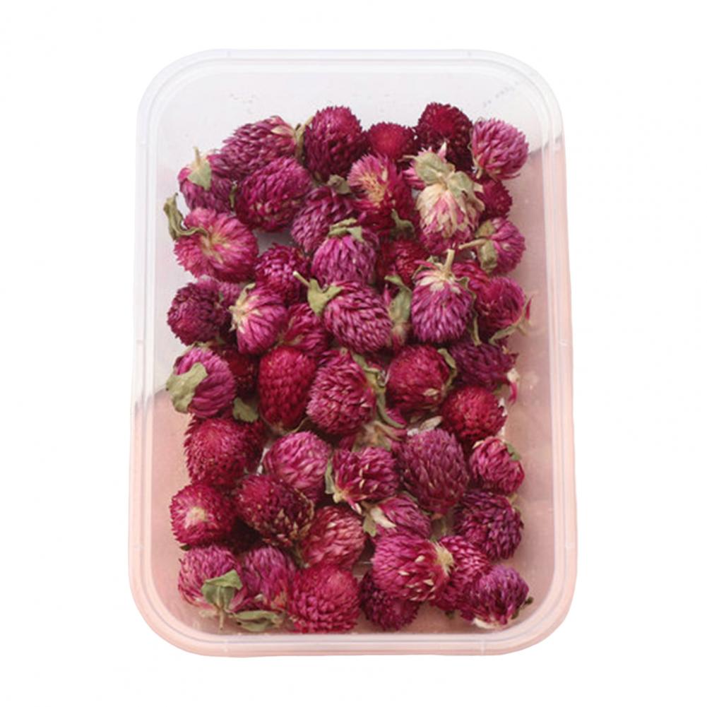Natürliches Trockenblumen-Sortiment Heimdekoration Natürliche Getrocknete Gepresste Blumen für Handgemachte Bastelarbeiten DIY Kerzen Epoxidharz Blume