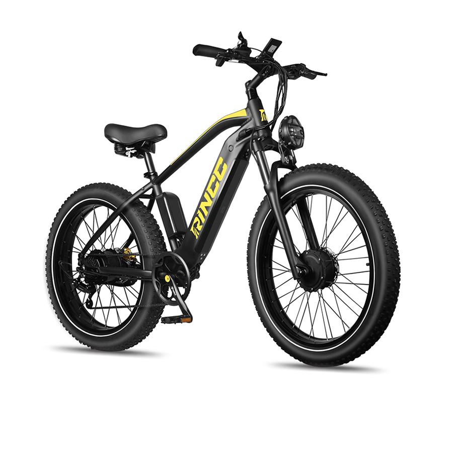 Rincc RN70 Elektrisches Mountainbike Doppelmotor mit 48V 20AH Samsung Akku 26 Zoll Fat Tire Bike schwarz