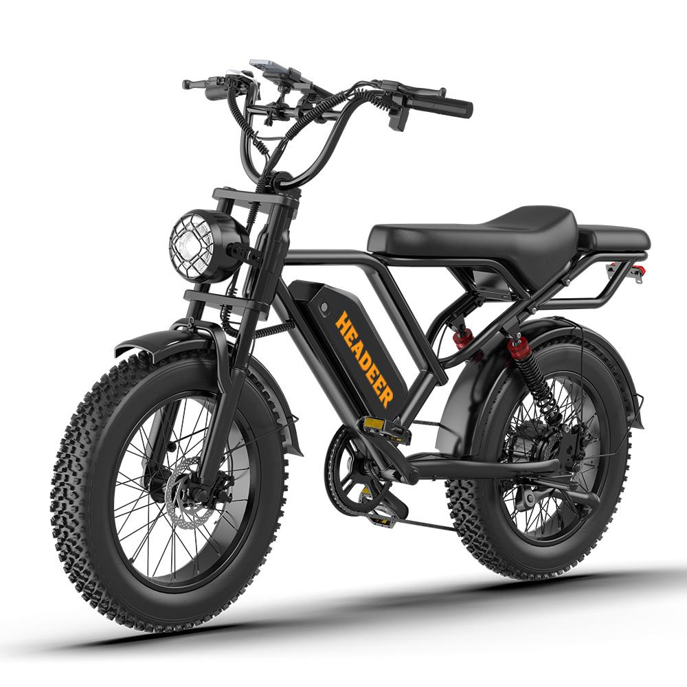 HEADER BK20 750W E-Bike für Erwachsene 48V20Ah Akku 20 Fat Tire Off-Road Doppelfederung Doppelscheibenbremsen All-Terrain E-Bike Schnee Sand schwarz