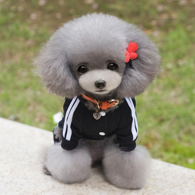 XS-XXL Haustier Hund Kleidung Warme Hund Overall Katze Welpen Pyjamas Kleidung Verdicken Haustier Hoodie Mantel Outfit Für Hunde M schwarz