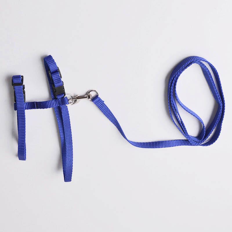 Verstellbarer Haustier-Traktionsgürtel, Katzenhalter, kleines Haustier-Hundegeschirr und Leine-Halsband blau