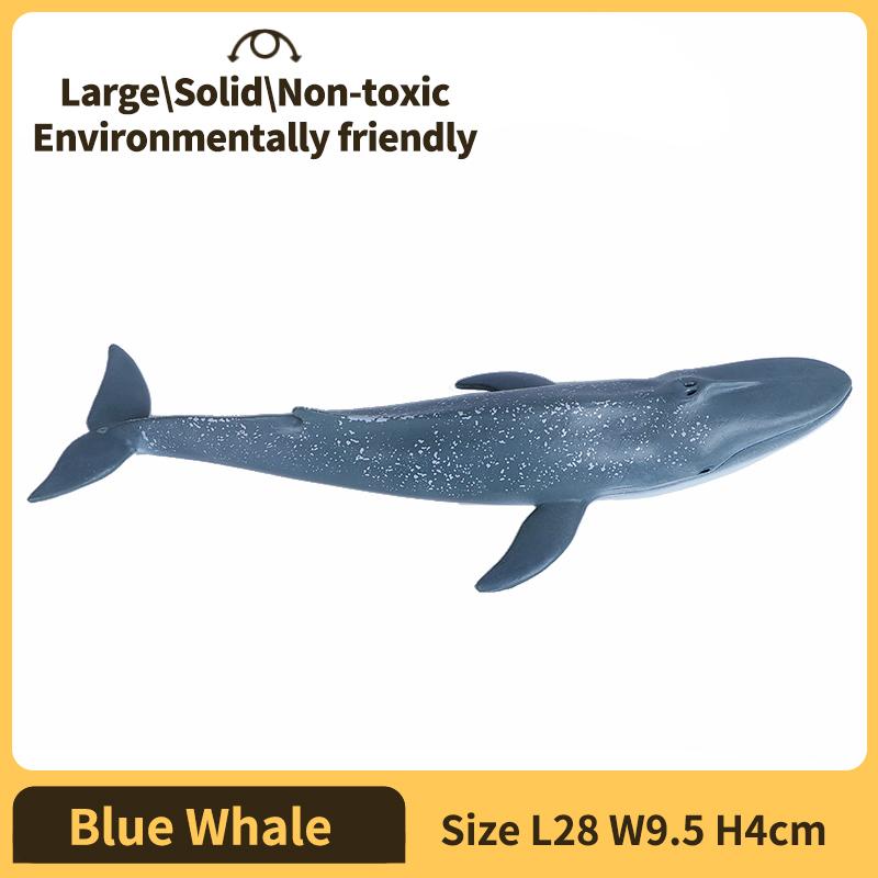 Meeresleben Blauwal Spielzeug Weißer Hai Modell Pädagogisch und Puzzle Langlebiges Geschenk für Kinder Tiere Actionfiguren Langlebiges Geschenk für