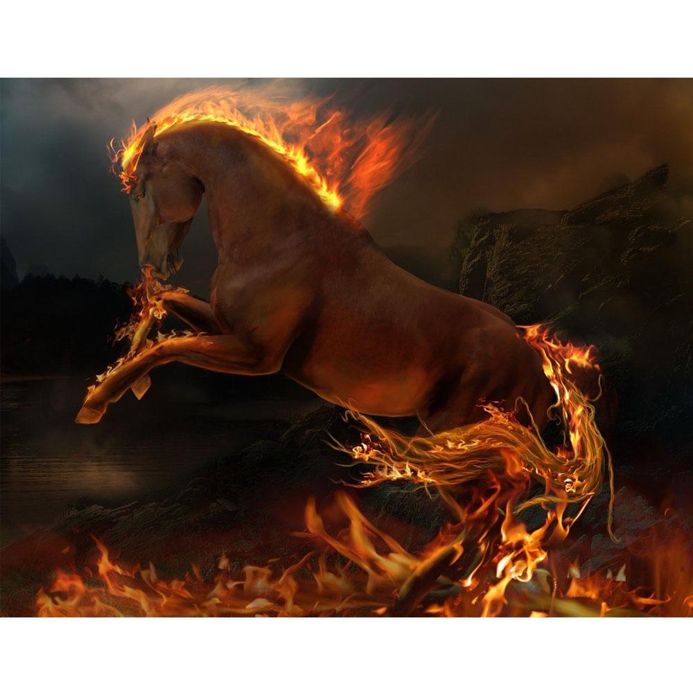 Quadratischer/runder Diamant 5D DIY Diamant Stickerei Flamme Pferd Diamant Malerei Kreuz Stickerei Wasser Diamant Mosaik Dekoration Full Round (20X30CM)
