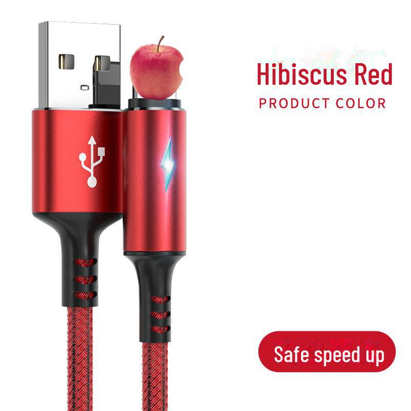 Kompatibles geflochtenes Apple-Lightning-Kabel für iPhone XS/8/11/12 Pro Max – schnelles Laden, kreatives Design. 1.2 meters, Apple rot