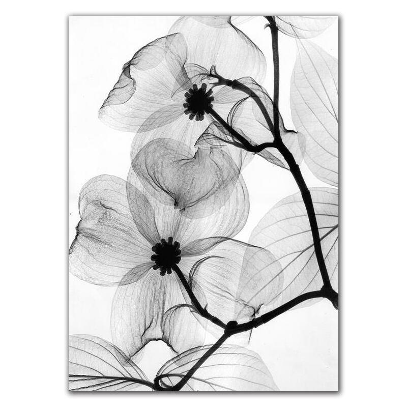 Schwarz Weiß Pflanze Leinwand Poster Nordic Abstrakte Blume Leinwand Drucke Wand Kunst Malerei Dekorative Bild Home Decor HD0035 21x30cm no frame