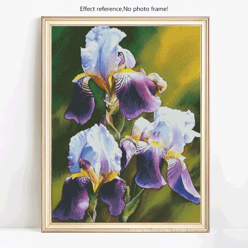 5D-Diamant-Gemälde, Bilder von Strasssteinen, Diamant-Stickerei, Blumen-Diamant 20X30