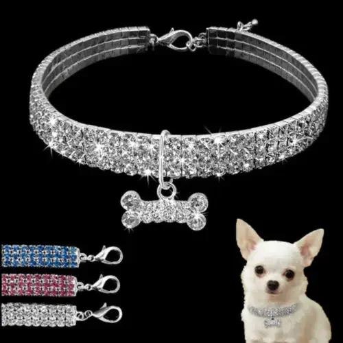 Hundehalsband Strassschmuck Chihuahua Kristallschmuck Verstellbar Gravierter Text Hundehalsband S weiß