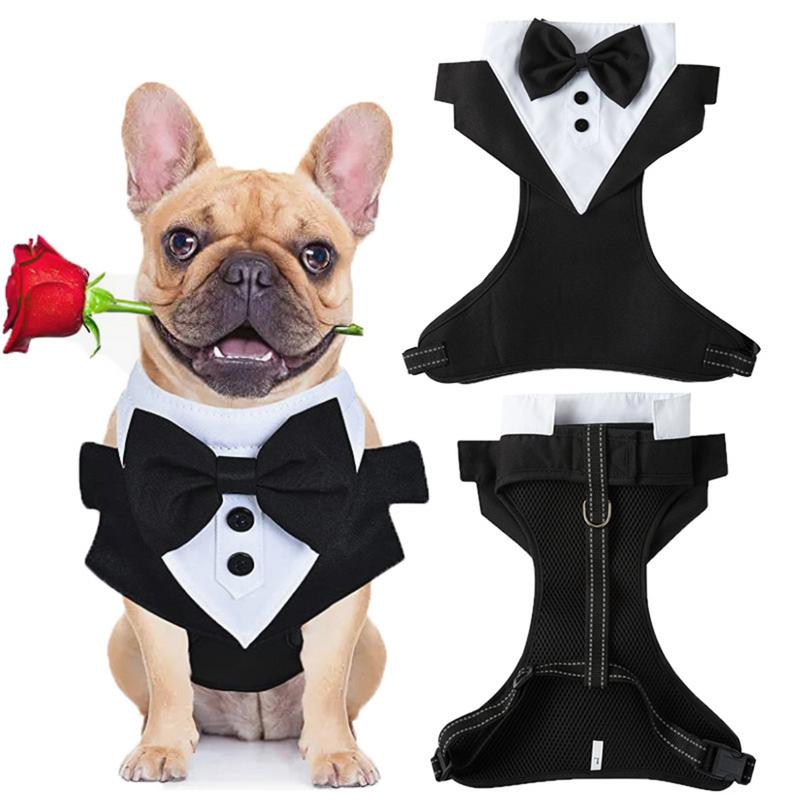 Hunde Smoking für kleine Hunde Hunde Prinz Hochzeit Fliege Hemd mit Zugleine Hunde Outfit Hochzeitskleidung Hunde Formaler Smoking Welpe S