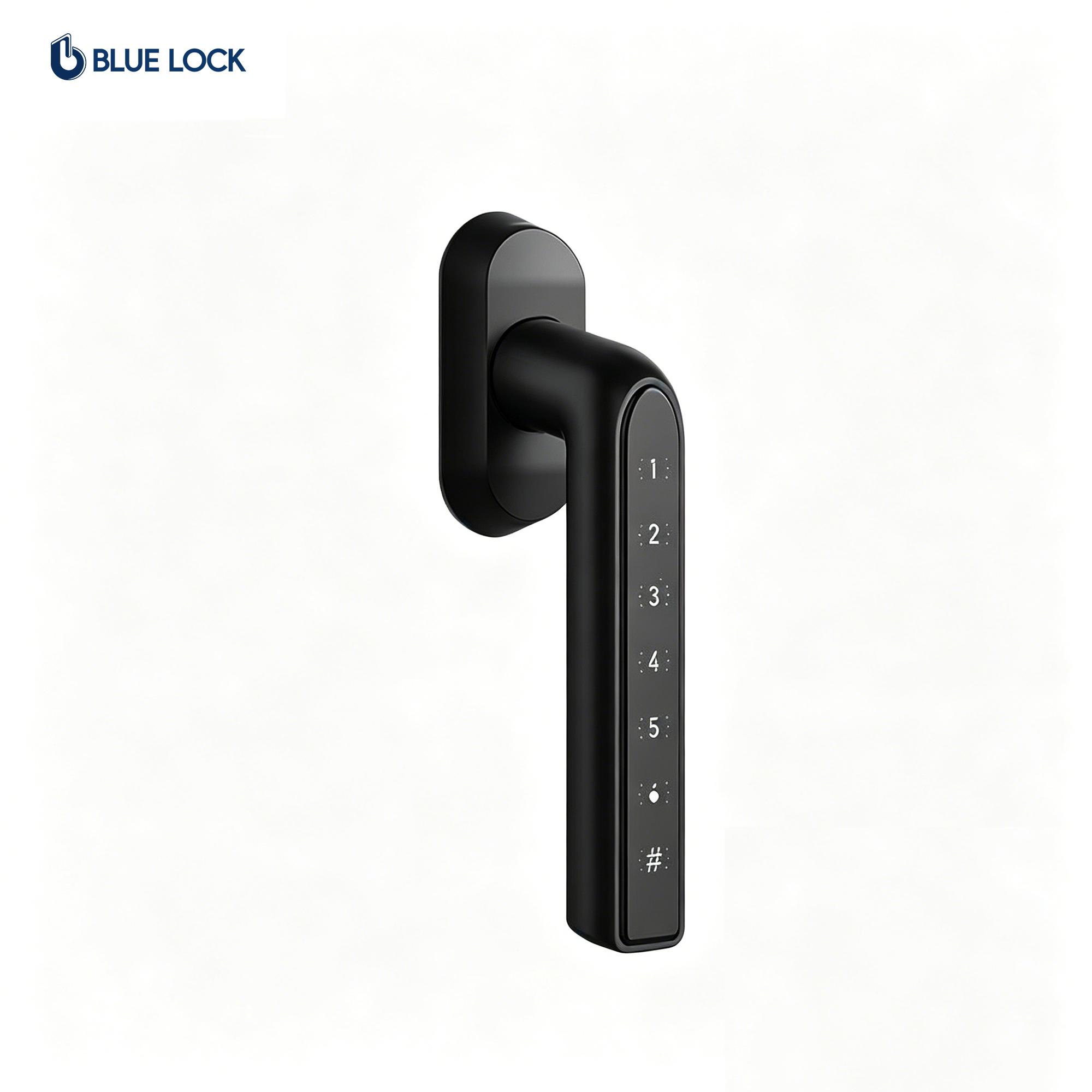 Bluelock Smart RFID Code Smart Fenstergriff Kartenzugang Türgriff Einhand-Öffnung Einfache Installation (Black,Card+Password&No APP) schwarz