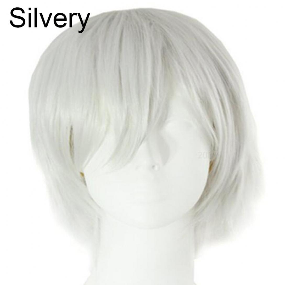 Orion Männer Frauen Multi-Color Kurze Gerade Haarteil Volle Perücke für Anime Party Cosplay One Size silber