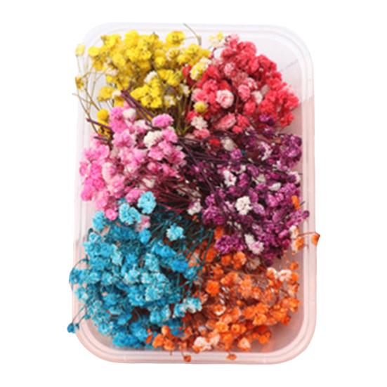 Trockenblumen-Set, echte natürliche Blumen, getrocknete Blumen in großen Mengen, DIY-Ewige Blumen, Material für handgefertigten Schmuck, Nägel, Basteln
