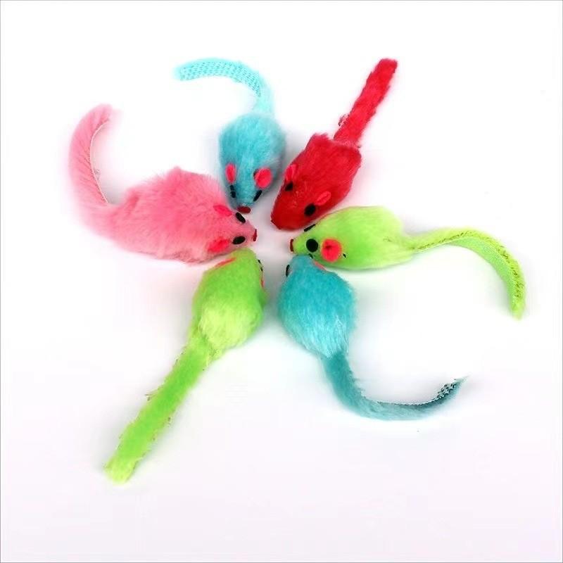Katzen spielen mit buntschwänzigen kleinen Mäusen. Tierspielzeug, Katzenspielzeug, Bunte Mäuse, Plüschmäuse 10 opp bags