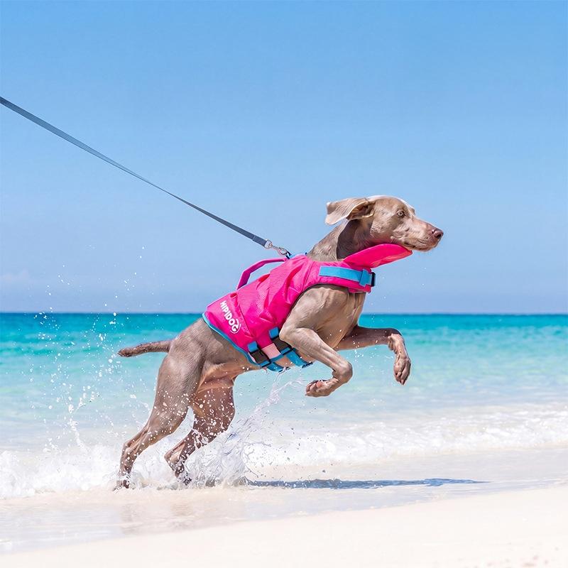 Hund Schwimmweste Schwimmen Starke Auftriebskraft Haustier Badeanzug Sommer Sicherheit Schwimmweste Für Dackel Chihuahua Teddy Außenpool Kleidung (Rose Red,S) rose rot