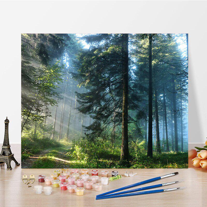 DIY-Malen-nach-Zahlen-Ölgemälde-Set, Leinwand, DIY-Ölgemälde nach Zahlen, Wandkunst, Dekorationen für Zuhause, Geschenk, Kunst und Hobbys 40x50cm no frame