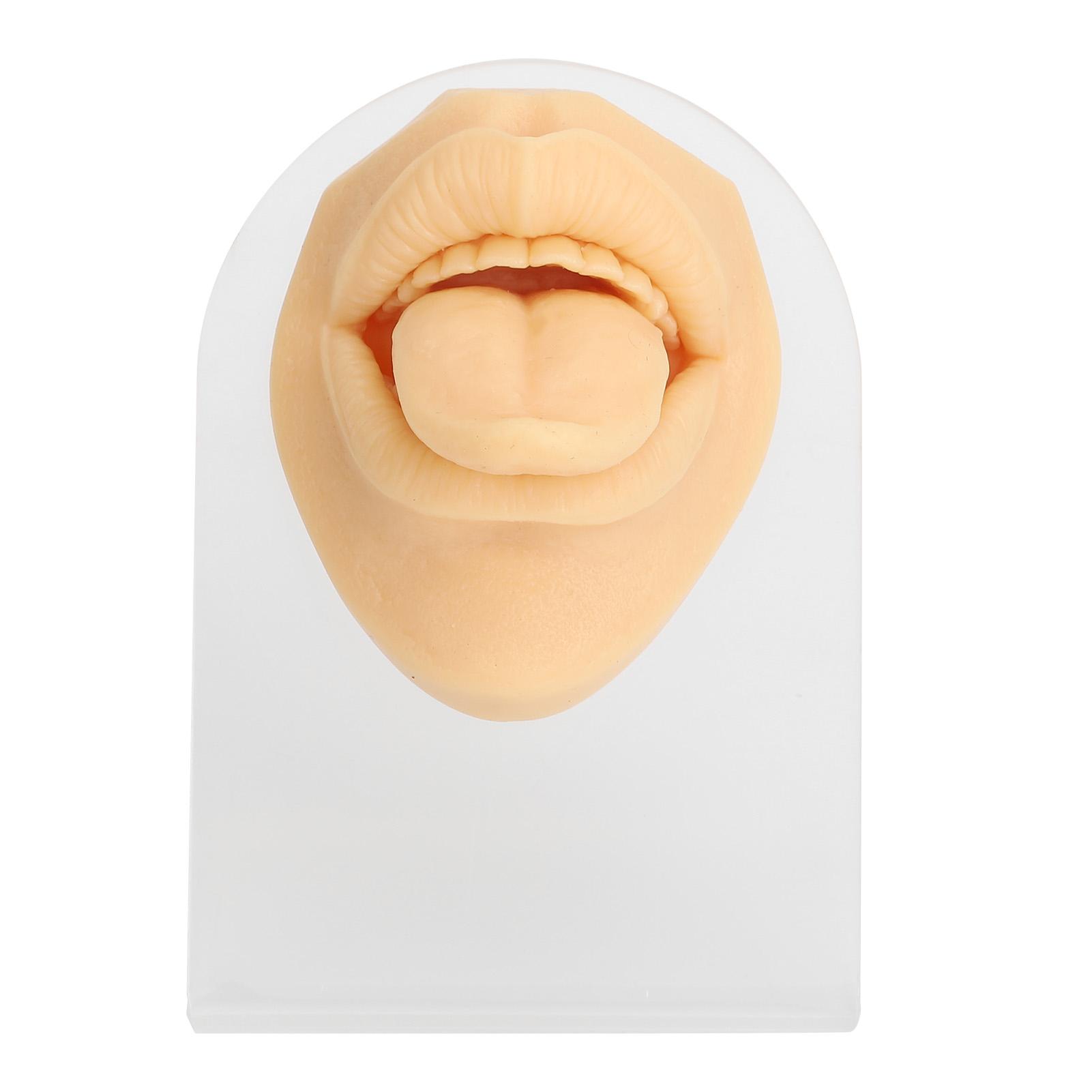 Silikon Zungen-Mund-Modell mit Ausstellungsständer Simuliertes 3D Zungenpiercing Körper Übungsmodell beige