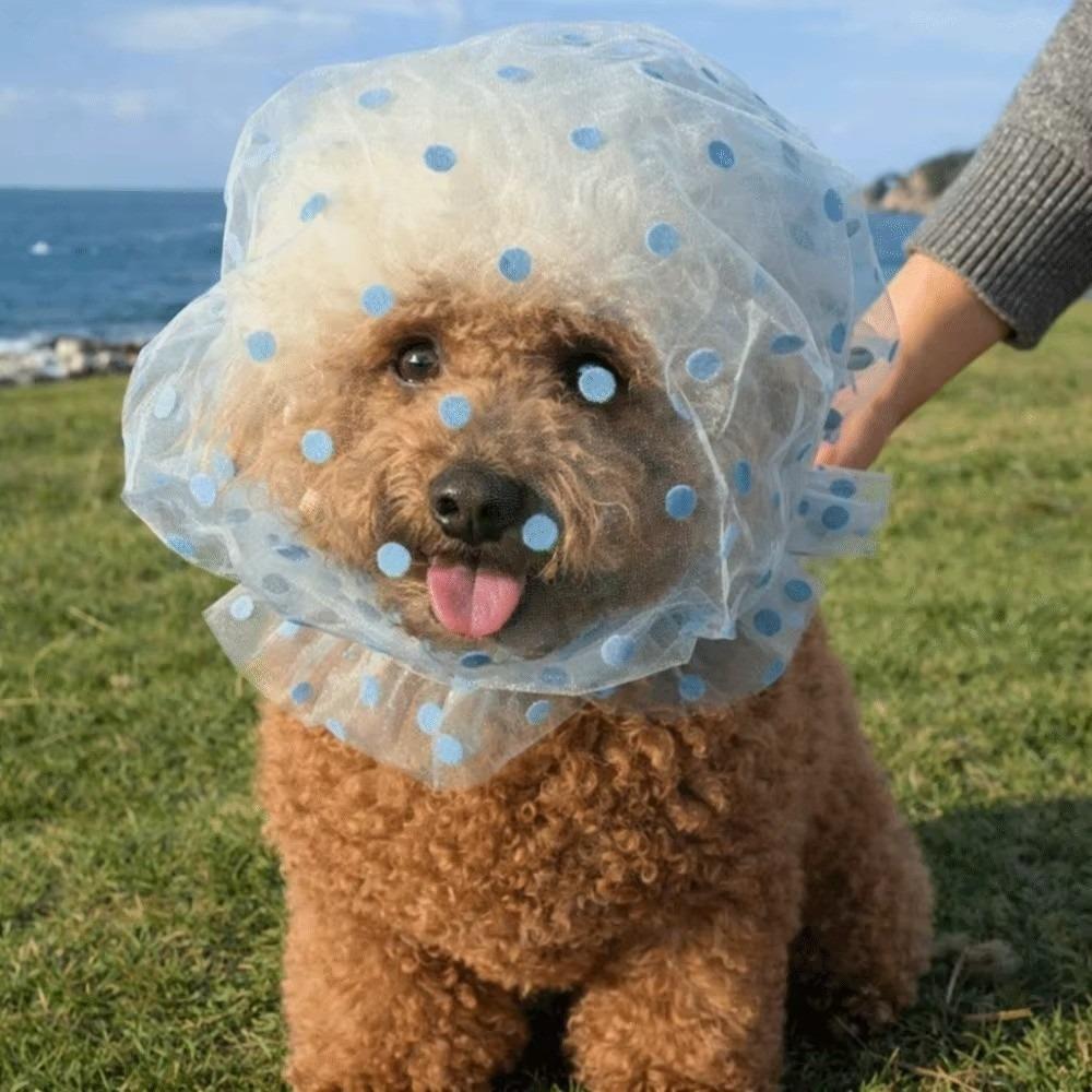 Atmungsaktiver Hunde-Anti-Fress-Schleier Verstellbarer Komfort Haustierhund Maulkorb Elastisches Polyester Anti-Lecken Stirnband Verhaltenskontrolle blau