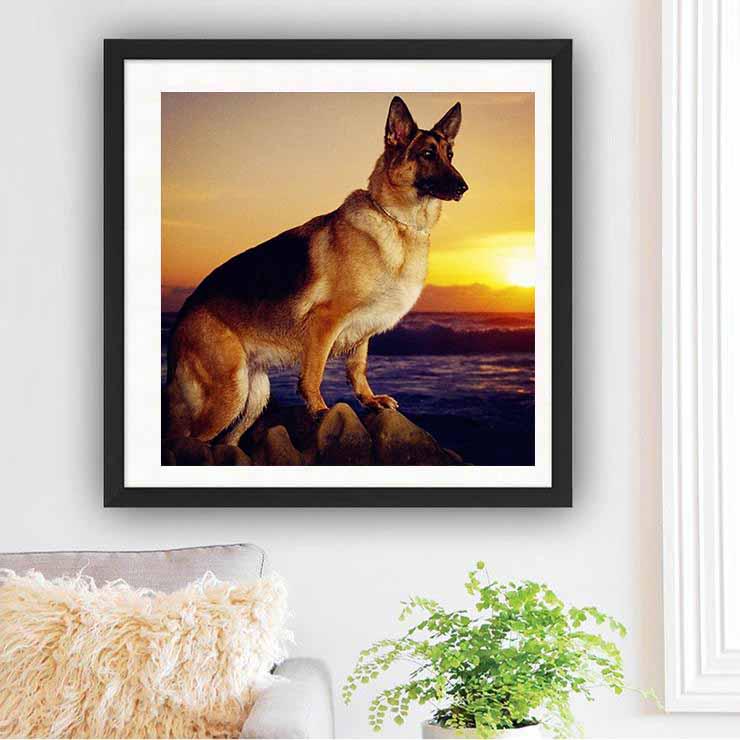 Diamant-Malerei, Hund und Sonne, Kreuzstich, Handarbeit, Heimdekoration, volle runde Diamant-Stickerei 30x30CM