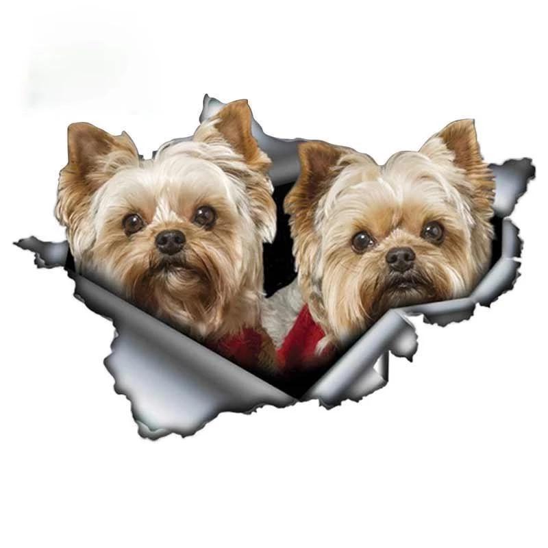 S50065# Yorkshire Dog Yorkie Paar Aufkleber auf dem Auto, Vinyl-Aufkleber, wasserfest, Dekoration, Autoaufkleber Width 13cm