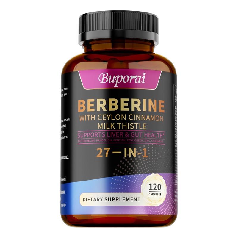 27-in-1 Berberin-Nahrungsergänzungsmittel mit Ceylon-Zimt, Mariendistel für Immunsystem, bessere Figur, Leber- & Darmgesundheit, Vegane Nahrungsergänzungsmittel 120