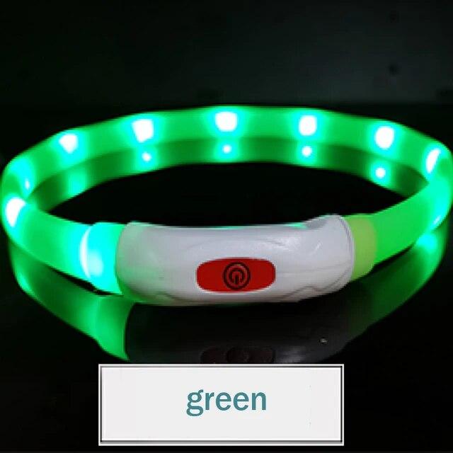 LED-Hundehalsband mit Licht, wiederaufladbar über USB, leuchtendes Halsband, Anti-Verlust/Autounfall, Sicherheit, Welpenhalsband, LED-Hundezubehör, Heimtierprodukte S grün