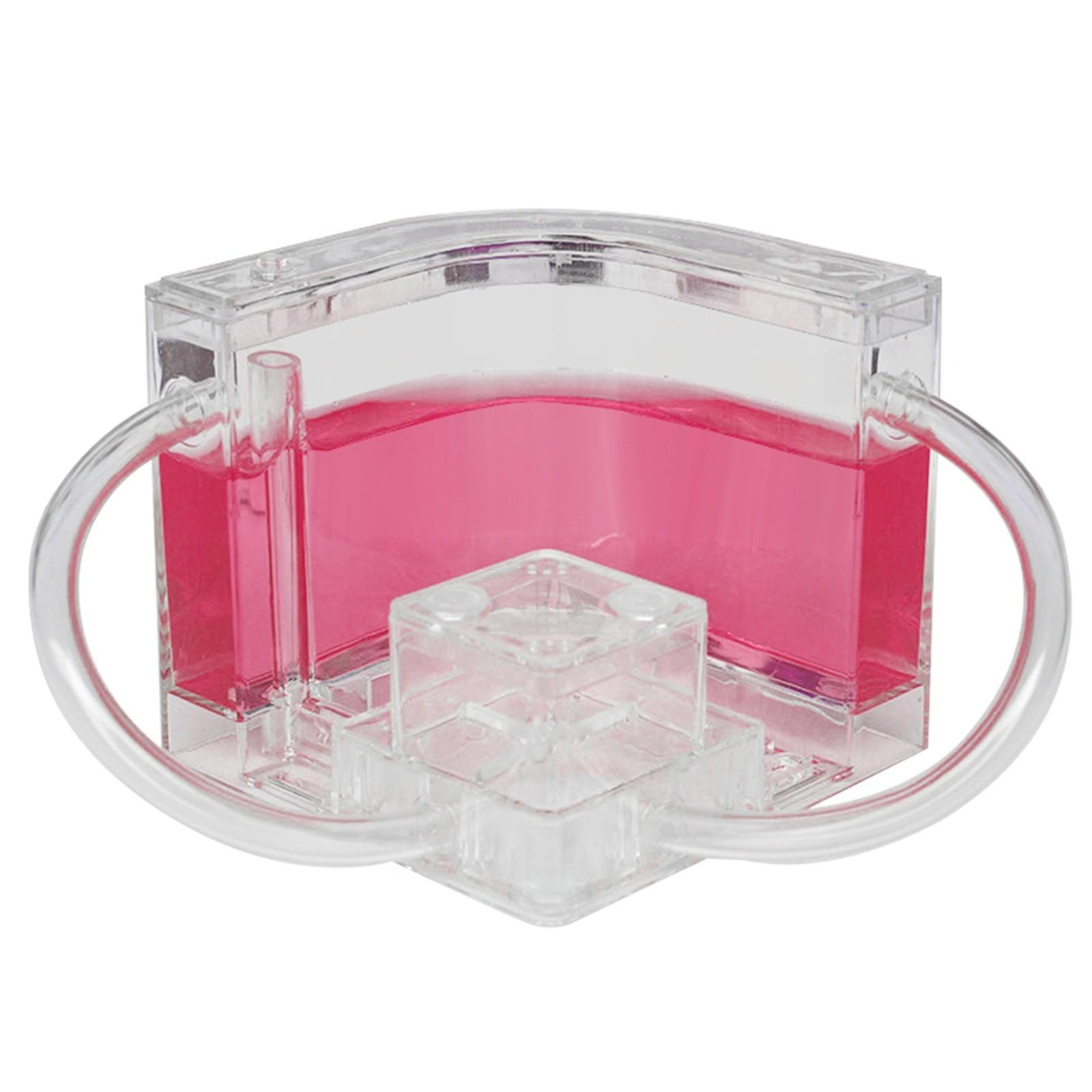 Ameisenfarm Schloss Ameisenlebensraum Wissenschaft Lernset 2021 Pädagogisches Kinderspielzeug Studie rosa