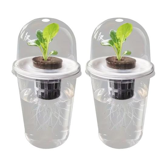 1/2/3/5/6/8/10 Stück Hydroponische Pflanzen Anzuchttasse mit Haube Transparenter Pflanzen Keimtopf Gartenbau Anzuchtpflanzen Startbehälter 2pcs