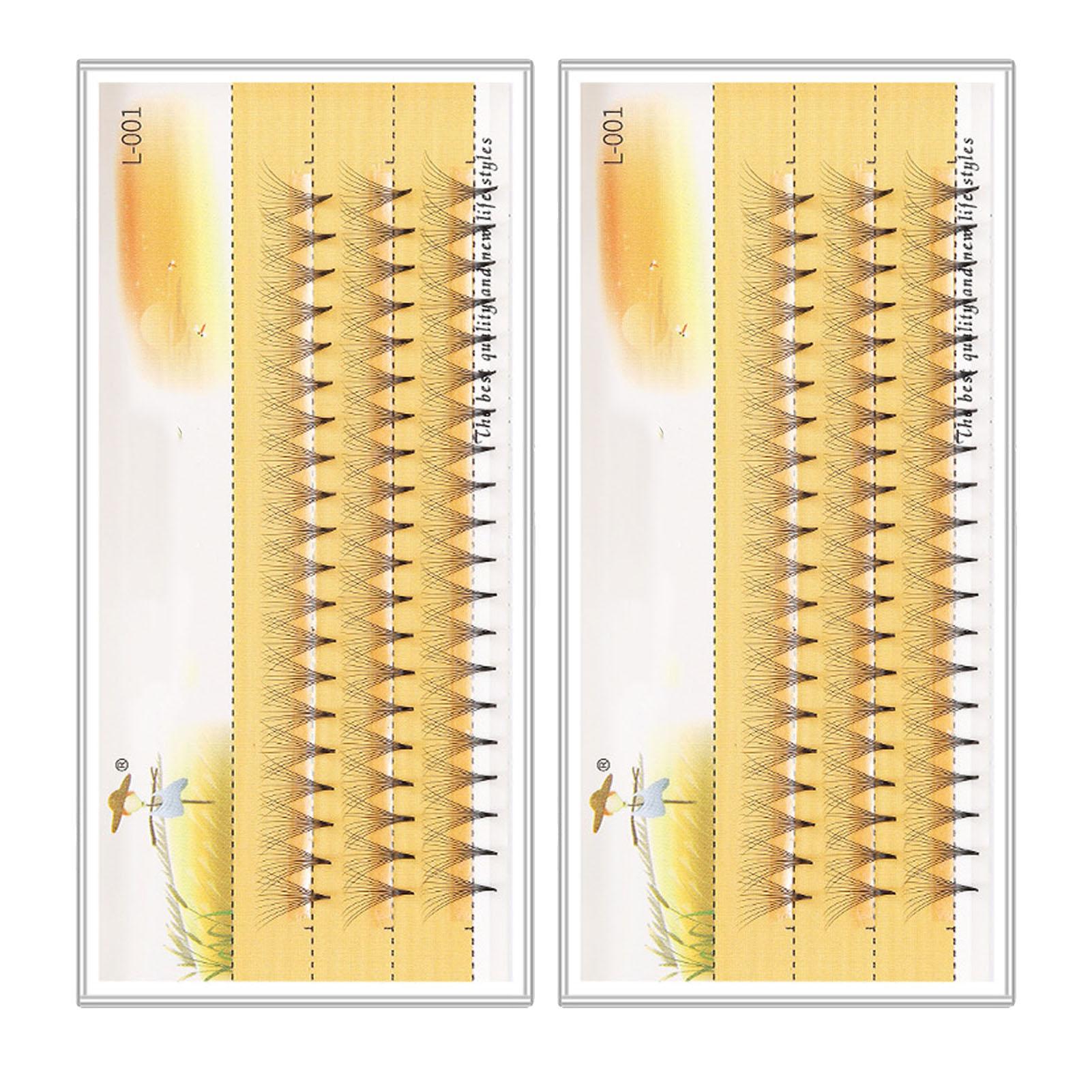 2 Box Einzelwimpern 0.07 10D Gleichmäßige Handverteilung Verformung Leichte Wimpernbüschel Extensions