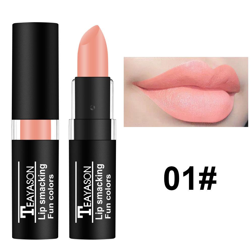 Wasserdichter samtmatter, langlebiger, pigmentierter Nude-Lippenstift, luxuriöse Party-Lippen, Make-up-Kosmetik 1