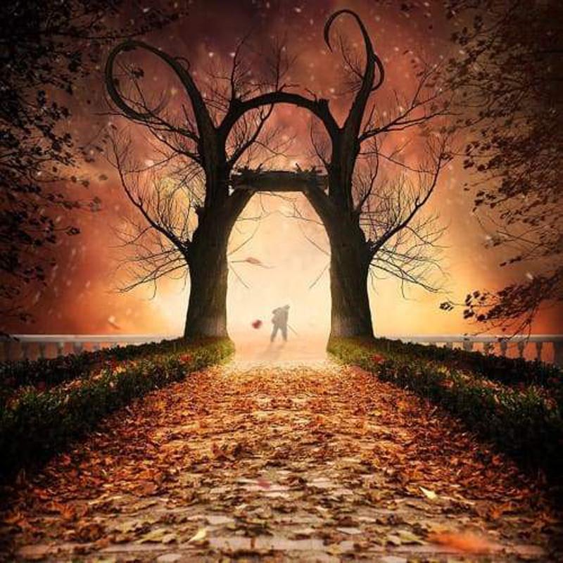 5D-Diamant-Kunsthandwerk, Diamant-Malerei-Set, DIY-Diamant-Stickerei, Liebe ist immer zusammen, Diamant 30x30CM