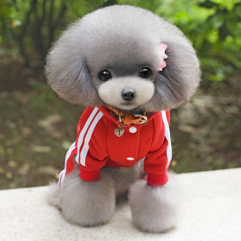 XS-XXL Haustier Hund Kleidung Warme Hund Overall Katze Welpen Pyjamas Kleidung Verdicken Haustier Hoodie Mantel Outfit Für Hunde M rot