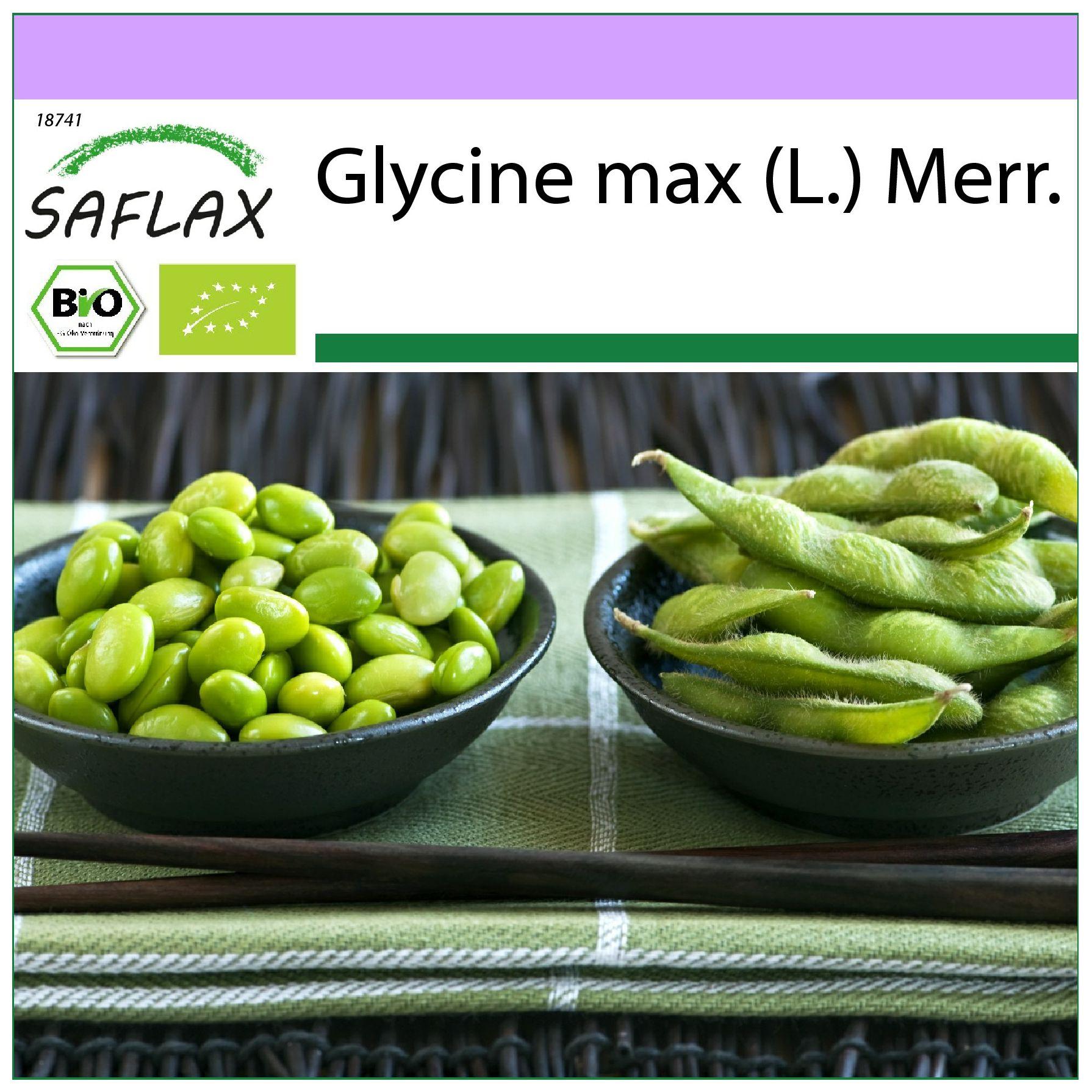 SAFLAX - Bio - Bohne - Edamame - 8 Samen - Glycin