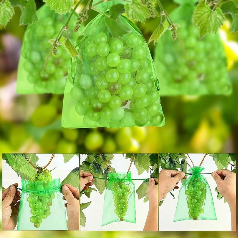50PCS Erdbeere Trauben Schutz Beutel Schädlingsbekämpfung Anti-Vogel Garten Netting Taschen Obst Schutz Taschen Für Plantas Gemüse wachsen Taschen 10*15CM