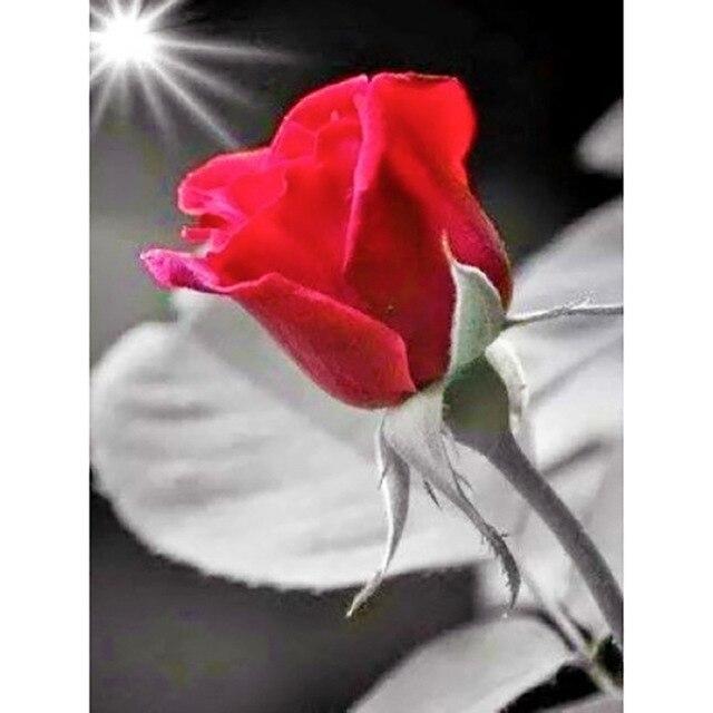 Diamant-Gemälde „Rosenblume“, voll quadratisch, rund, Diamant-Stickerei, Schwarz-Weiß-Mosaik, Bild von Strass, Geschenk, Heimdekoration Full Square 20X30CM dunkelgrüne