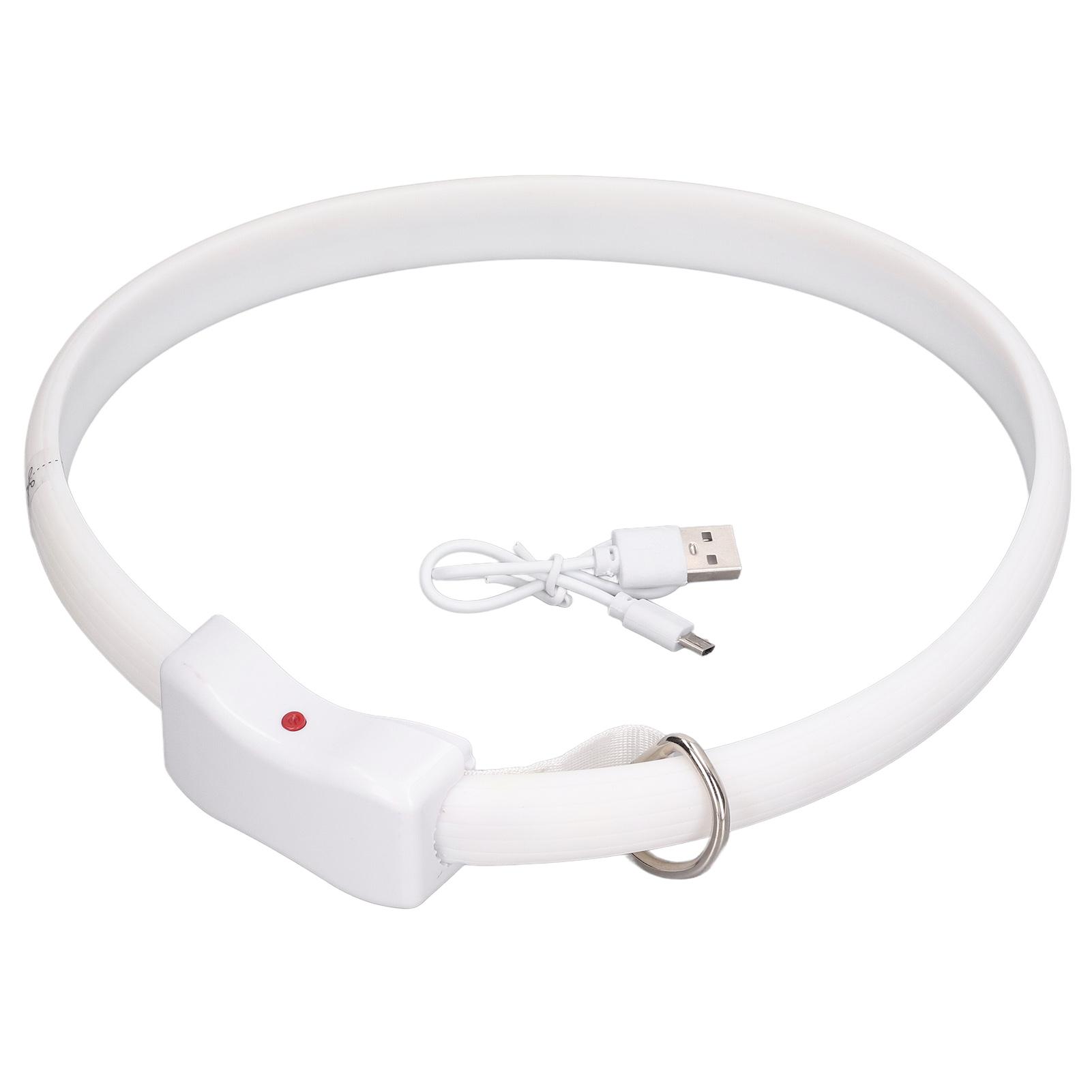 Leuchtendes Hundehalsband Mehrere Beleuchtungsmodi Zuschneidbar USB Wiederaufladbar Wiederverwendbares LED-Hundehalsband
