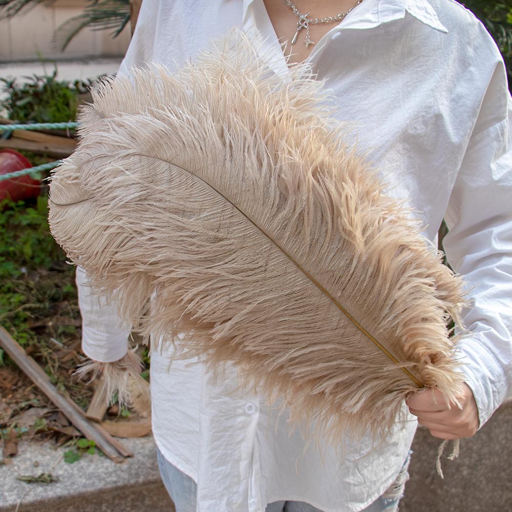 10 Stück 45-50cm Straußenfedern für Bastelarbeiten Hochzeitsfeier Dekoration Federn Straußen Tischmittelstücke Farbige Federn Dekoration 25-30cm 12-14inch kamelfarben