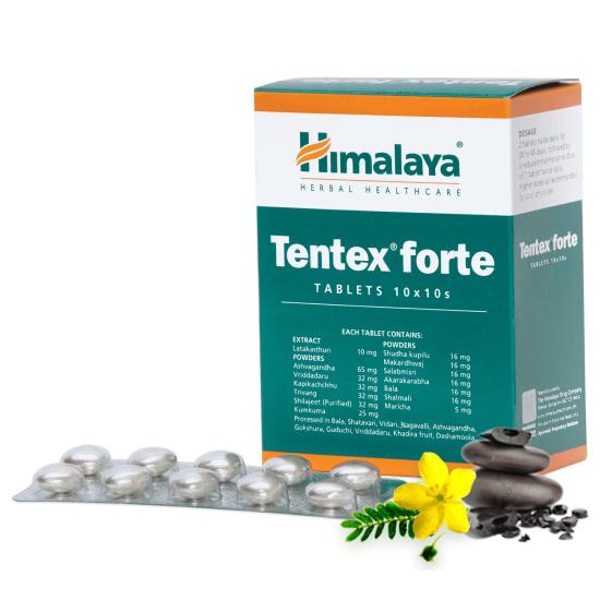 Tentex Forte Ayurvedische Tabletten für Männer | 10 Tabletten | Unterstützung für Vitalität & Ausdauer 2 pack of 100 tablets