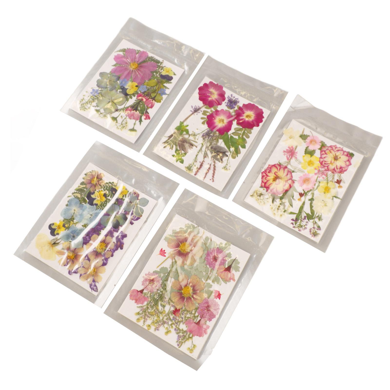 5 Beutel Gepresste Blumen Sortierte Stile Lebendige Reichhaltige Details Mehrzweck Bunte Getrocknete Blumen