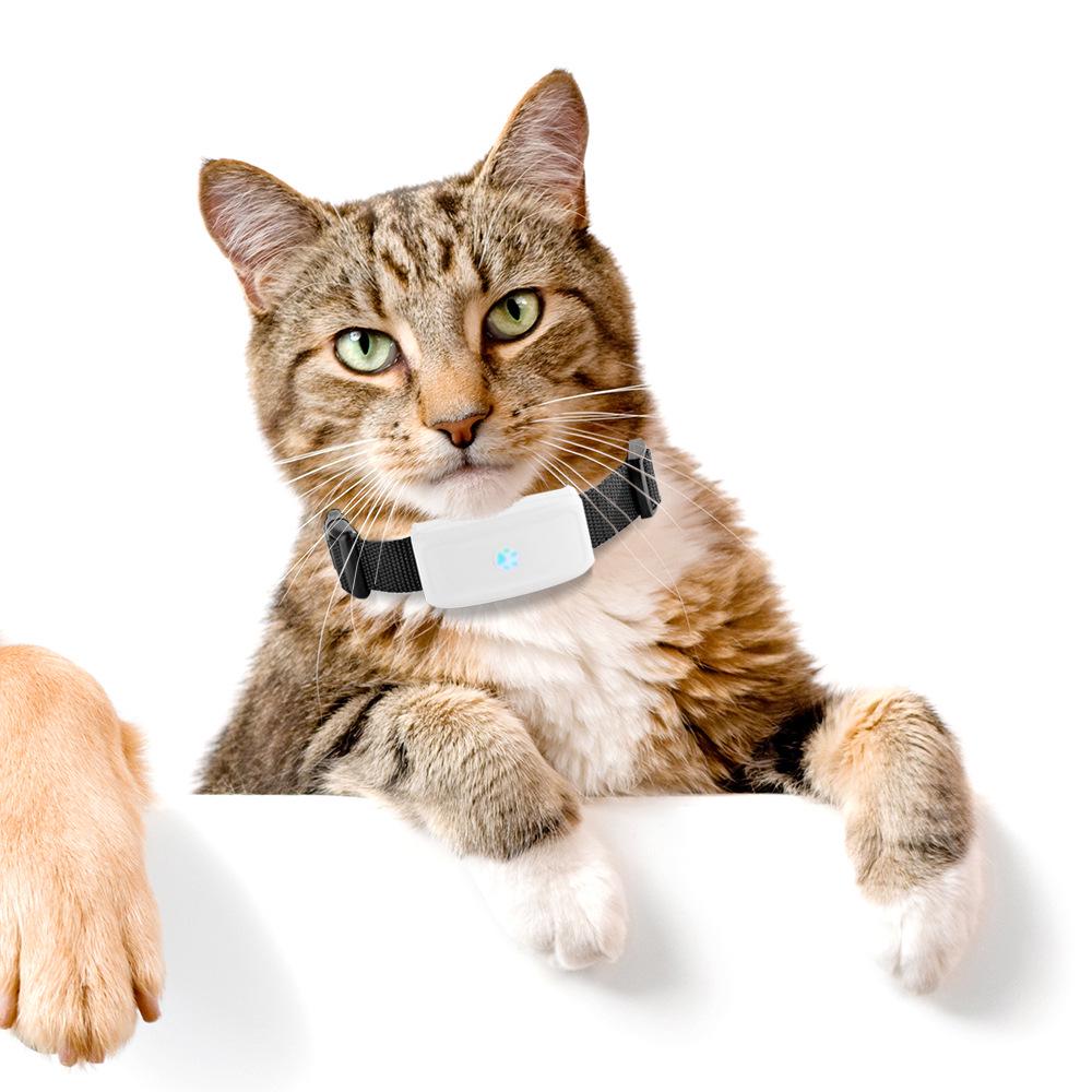 TK911 Haustier GPS Tracker: WiFi, GPS & LBS-Ortung mit Ladeanschluss für Katzen/Hunde 62x30x18MM