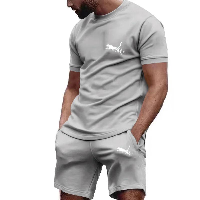 Herren Sportbekleidung Sommer Anzug Herren Fitness Anzug Sport Anzug Kurzarm T-Shirt + Shorts Schnelltrocknend 2-teilige Sets L gray
