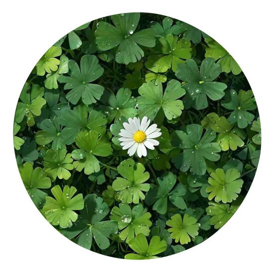 Frühlings-Spann-Tischdecke Rund mit Gummizug Blumenpflanzen-Muster Rand Rustikal Floral Tischdecke Tischabdeckung für Picknick Bauernhaus 120cm