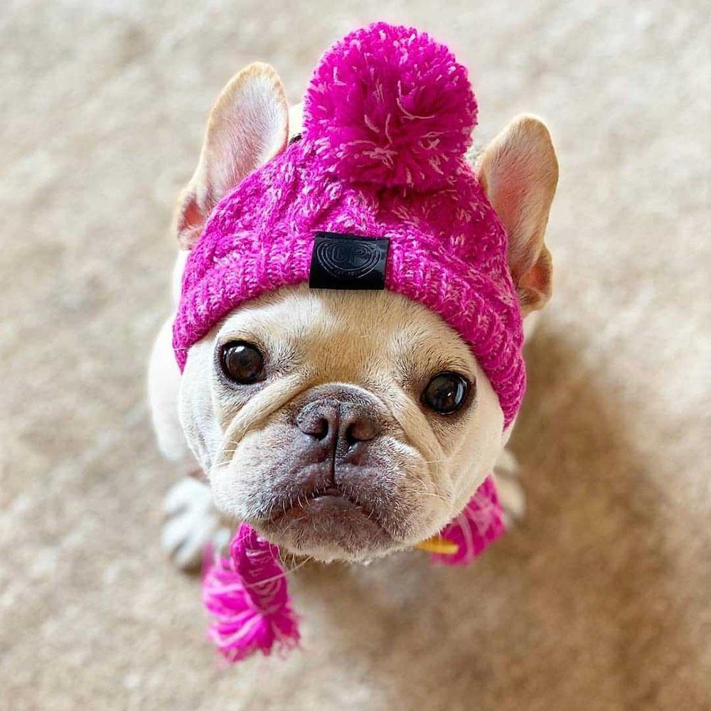 Winter Haustier Katze Hund Hut Mütze Weihnachten Warm Winddicht Haustierhüte Wollene Hundezubehör Für Kleine Mittelgroße Hunde Outdoor Bulldoggenmützen M 41-51cm