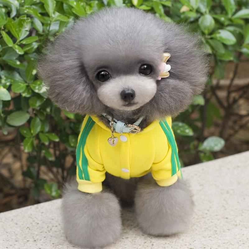 XS-XXL Haustier Hund Kleidung Warme Hund Overall Katze Welpen Pyjamas Kleidung Verdicken Haustier Hoodie Mantel Outfit Für Hunde XS gelb