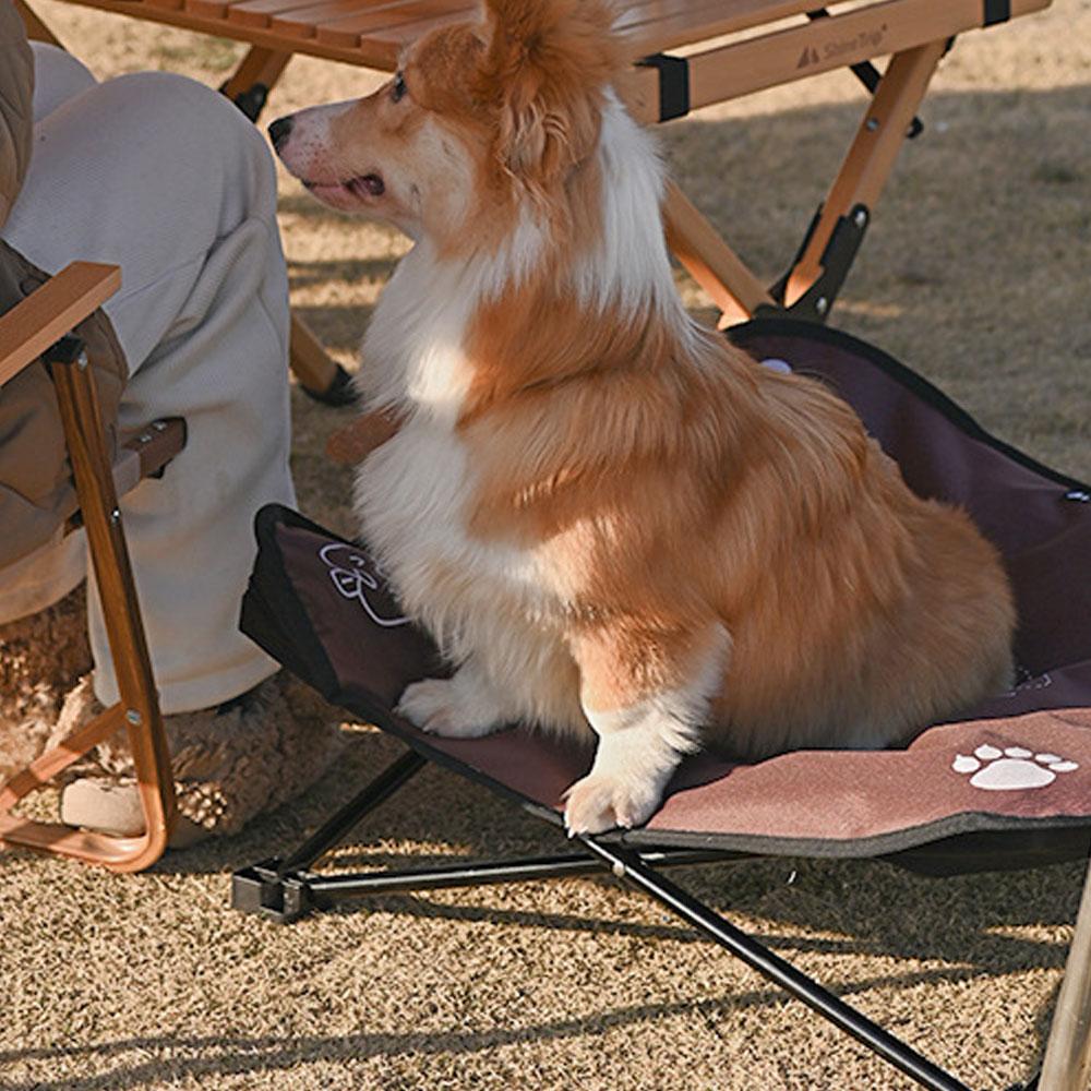 ShineTrip Erhöhtes Hunde-Katzenbett Camping Klappbares Haustierbett Aluminiumlegierung mit Tragetasche für den Innen- und Außenbereich grün