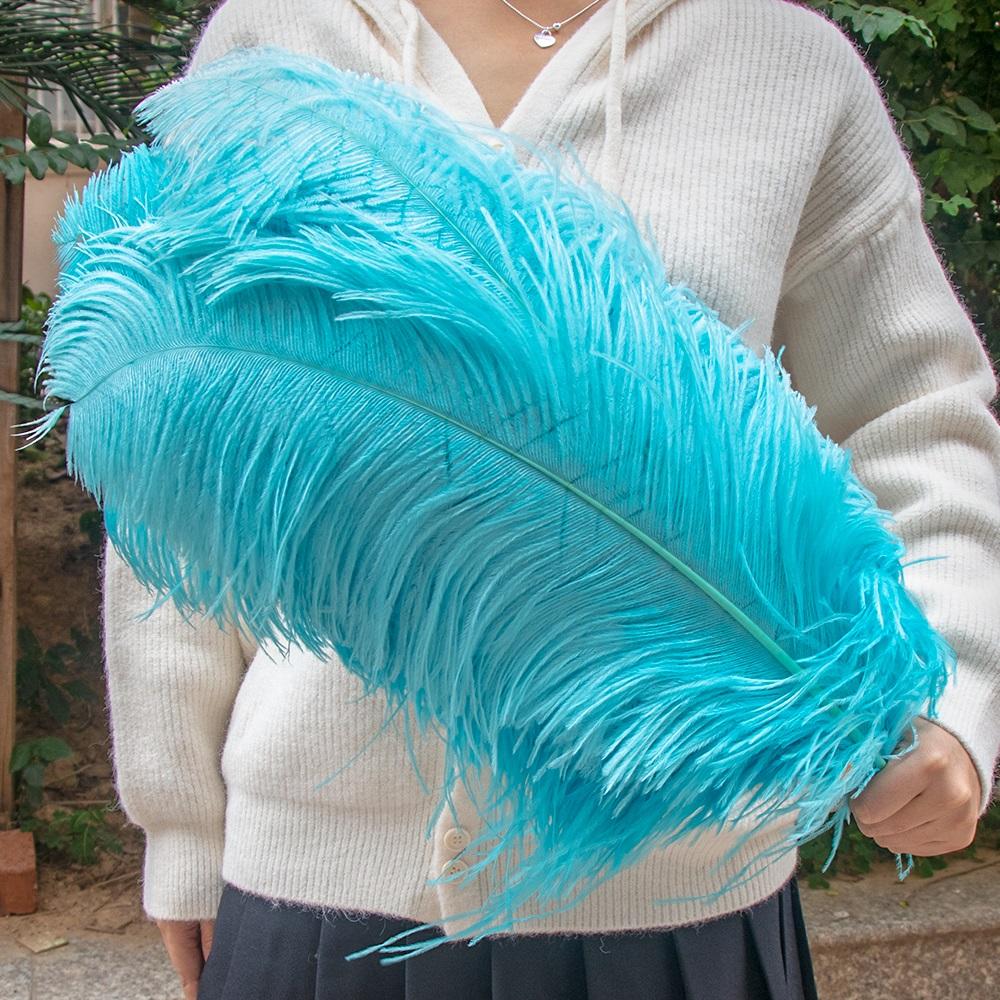 10 Stück 45-50cm Straußenfedern für Bastelarbeiten Hochzeitsfeier Dekoration Federn Straußen Tischmittelstücke Farbige Federn Dekoration 35-40cm 16-18inch himmelblaue