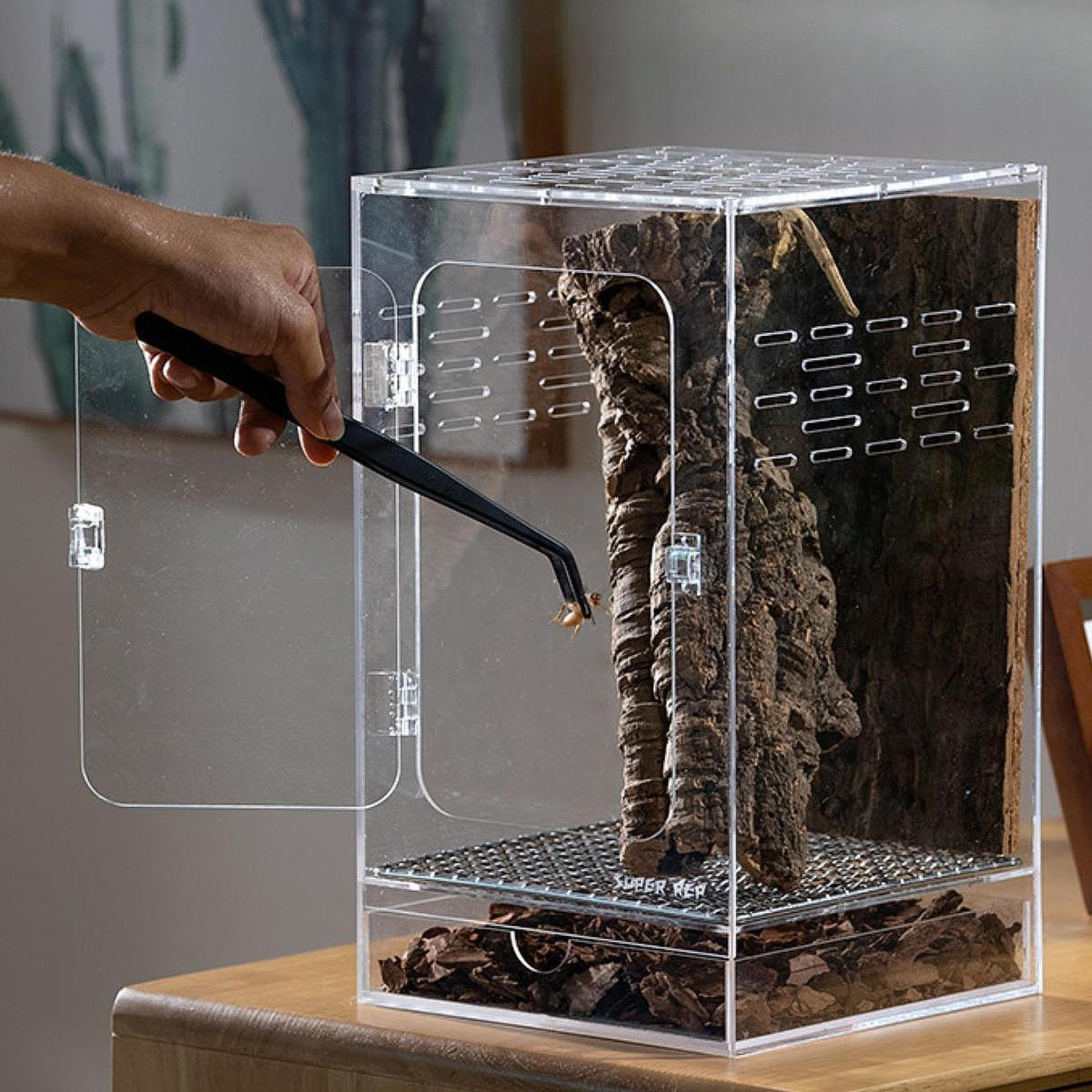 Acryl Gehege Käfig Zuchtbox Tank Terrarium für Gottesanbeterinnen Terrestrische Seidenraupen Chamäleon L