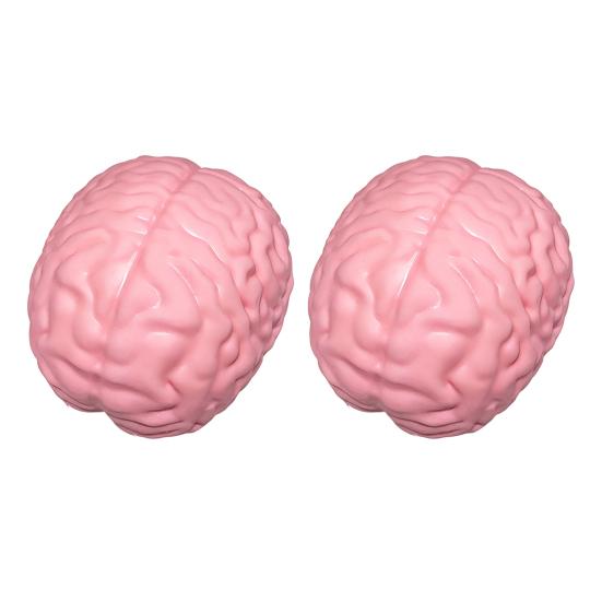 1/2 Stück Riesiges Simulations-Gehirn Knetspielzeug Stressabbau Rosa Gehirn Sensorisches Spielzeug Dekompression Langsam aufsteigend Realistisches Gehirn Fidget-Spielzeug 2pcs pink