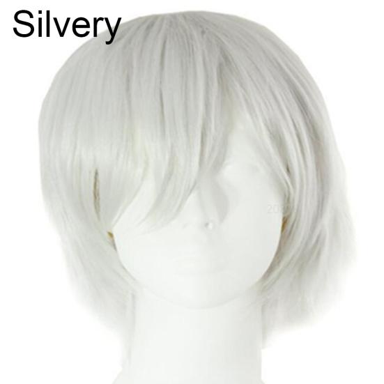 Orion Männer Frauen Multi-Color Kurze Gerade Haarteil Volle Perücke für Anime Party Cosplay One Size silber