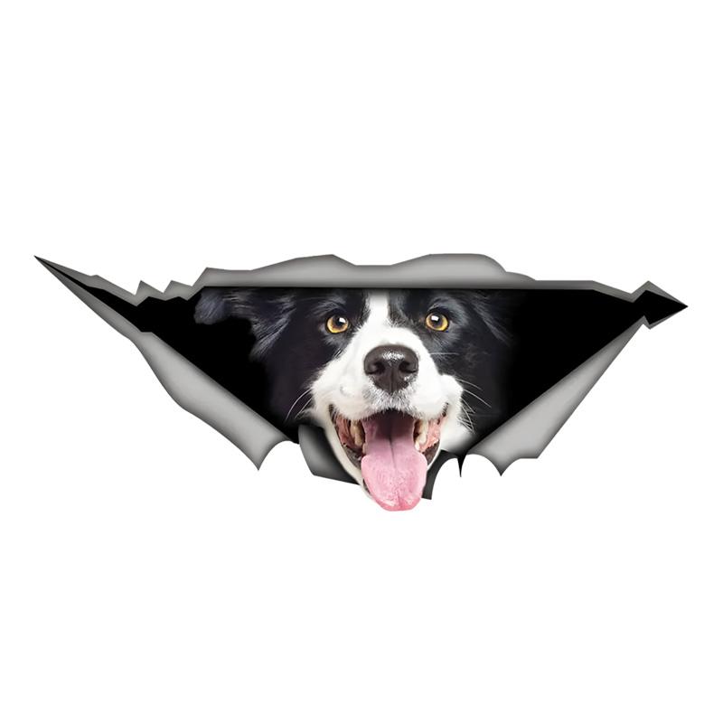 Border Collie 3D-Vinyl-Autoaufkleber, lustiger Versicherungs-Autoaufkleber für Autos, LKWs, Motorräder, Wände, Fenster, PVC-Material 15cm-Longest Side